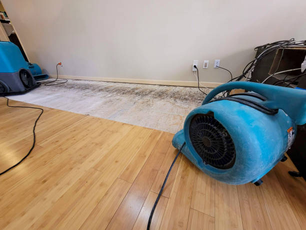 Professional Water Damage Repair technician working in Cohoes, NY